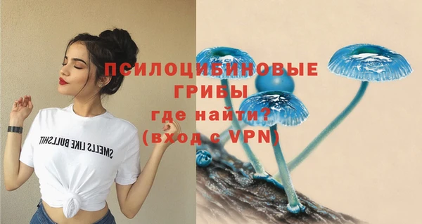 дживик Навашино