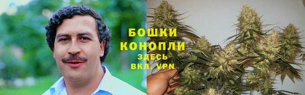 дживик Навашино