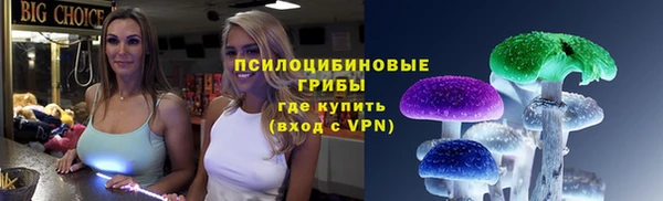 дживик Навашино