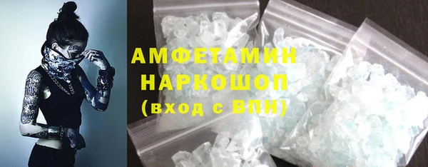 шишки Дмитриев