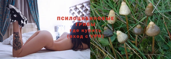 гашик Михайловка