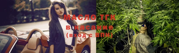 гашик Михайловка