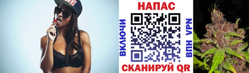 mega как войти цена Новоульяновск Шишки марихуана SATIVA & INDICA